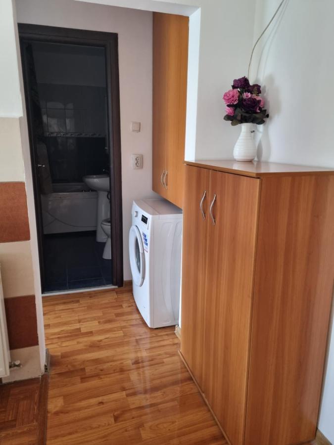 Marya'S Lejlighed Râmnicu Vâlcea Eksteriør billede